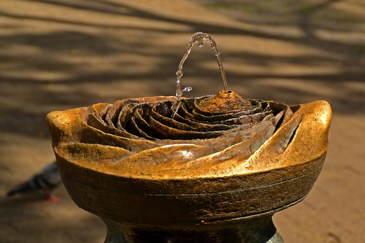 fountain, water jet, gargoyles-260307.jpg